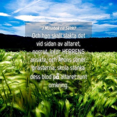 Picture 04 - 3 Mosebok 1:11 SV1917 - Och han skall slakta det vid sidan av altaret, - Bible Verse Picture