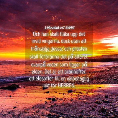 Picture 04 - 3 Mosebok 1:17 SV1917 - Och han skall fläka upp det invid vingarna, dock - Bible Verse Picture