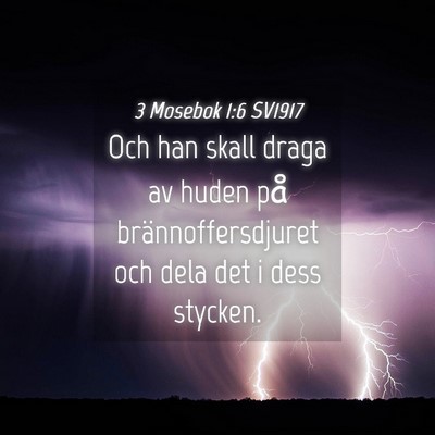 Picture 04 - 3 Mosebok 1:6 SV1917 - Och han skall draga av huden på - Bible Verse Picture