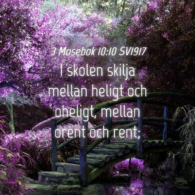 Picture 04 - 3 Mosebok 10:10 SV1917 - I skolen skilja mellan heligt och oheligt, mellan - Bible Verse Picture