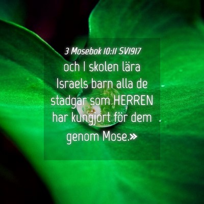 Picture 04 - 3 Mosebok 10:11 SV1917 - och I skolen lära Israels barn alla de stadgar - Bible Verse Picture