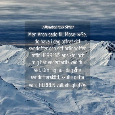 Picture 04 - 3 Mosebok 10:19 SV1917 - Men Aron sade till Mose: »Se, de hava i dag - Bible Verse Picture