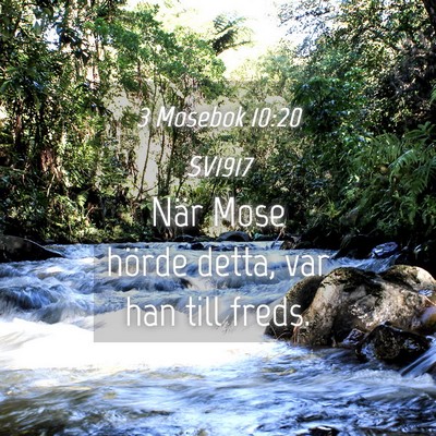 Picture 04 - 3 Mosebok 10:20 SV1917 - När Mose hörde detta, var han till - Bible Verse Picture
