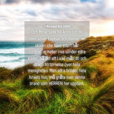 Picture 04 - 3 Mosebok 10:6 SV1917 - Och Mose sade till Aron och till hans söner - Bible Verse Picture
