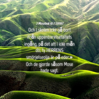 Picture 04 - 3 Mosebok 10:7 SV1917 - Och I skolen icke gå bort ifrån - Bible Verse Picture