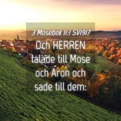 Picture 04 - 3 Mosebok 11:1 SV1917 - Och HERREN talade till Mose och Aron och sade - Bible Verse Picture