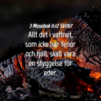 Picture 04 - 3 Mosebok 11:12 SV1917 - Allt det i vattnet, som icke har fenor och - Bible Verse Picture
