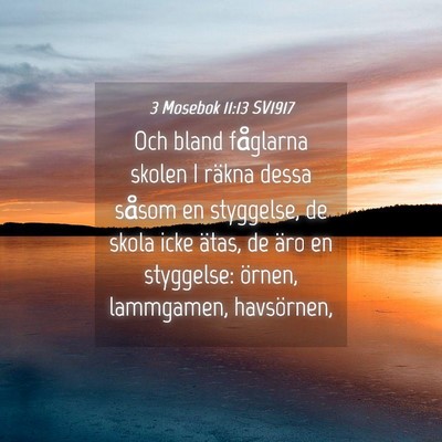 Picture 04 - 3 Mosebok 11:13 SV1917 - Och bland fåglarna skolen I räkna dessa såsom - Bible Verse Picture