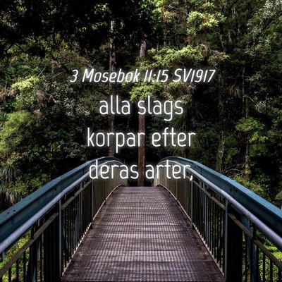 Picture 04 - 3 Mosebok 11:15 SV1917 - alla slags korpar efter deras - Bible Verse Picture