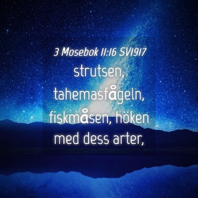 Picture 04 - 3 Mosebok 11:16 SV1917 - strutsen, tahemasfågeln, fiskmåsen, höken med - Bible Verse Picture