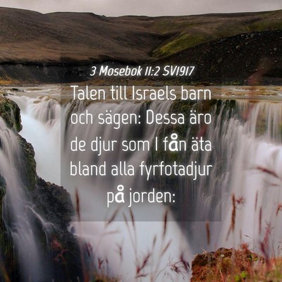 Picture 04 - 3 Mosebok 11:2 SV1917 - Talen till Israels barn och sägen: Dessa äro de - Bible Verse Picture