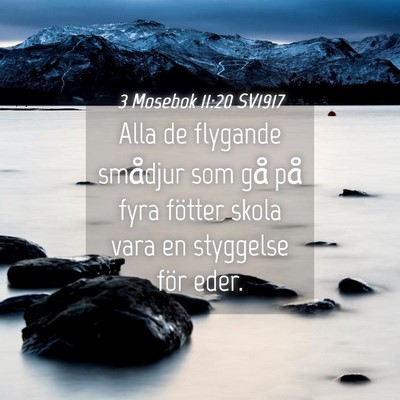 Picture 04 - 3 Mosebok 11:20 SV1917 - Alla de flygande smådjur som gå på fyra - Bible Verse Picture