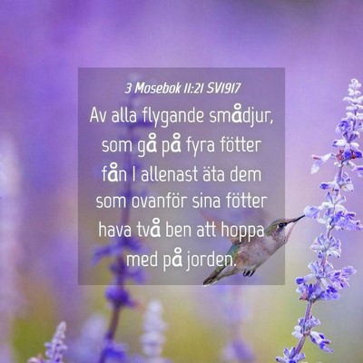 Picture 04 - 3 Mosebok 11:21 SV1917 - Av alla flygande smådjur, som gå på fyra - Bible Verse Picture