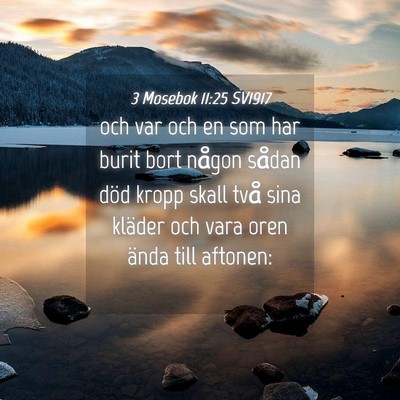 Picture 04 - 3 Mosebok 11:25 SV1917 - och var och en som har burit bort någon sådan - Bible Verse Picture