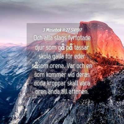 Picture 04 - 3 Mosebok 11:27 SV1917 - Och alla slags fyrfotade djur som gå på tassar - Bible Verse Picture