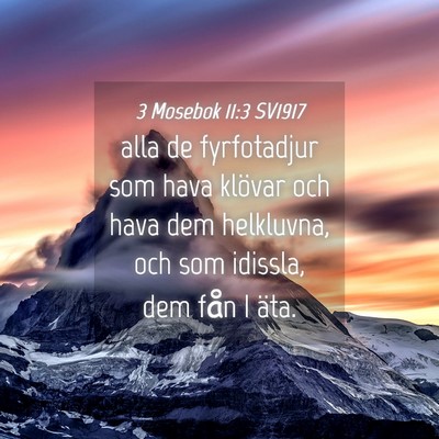 Picture 04 - 3 Mosebok 11:3 SV1917 - alla de fyrfotadjur som hava klövar och hava dem - Bible Verse Picture