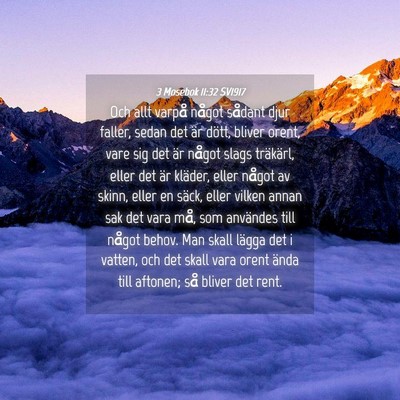 Picture 04 - 3 Mosebok 11:32 SV1917 - Och allt varpå något sådant djur faller, sedan - Bible Verse Picture