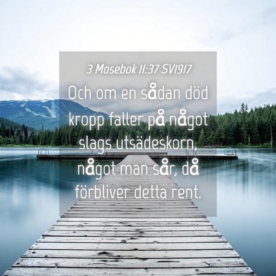 Picture 04 - 3 Mosebok 11:37 SV1917 - Och om en sådan död kropp faller på något - Bible Verse Picture