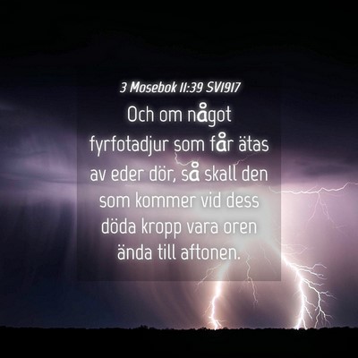 Picture 04 - 3 Mosebok 11:39 SV1917 - Och om något fyrfotadjur som får ätas av eder - Bible Verse Picture