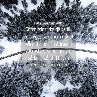 Picture 04 - 3 Mosebok 11:43 SV1917 - Gören eder icke själva till en styggelse genom - Bible Verse Picture