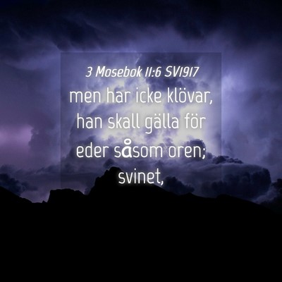 Picture 04 - 3 Mosebok 11:6 SV1917 - men har icke klövar, han skall gälla för eder - Bible Verse Picture
