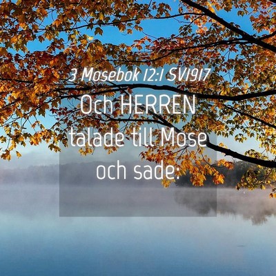 Picture 04 - 3 Mosebok 12:1 SV1917 - Och HERREN talade till Mose och - Bible Verse Picture