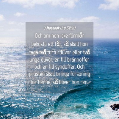 Picture 04 - 3 Mosebok 12:8 SV1917 - Och om hon icke förmår bekosta ett får, så - Bible Verse Picture