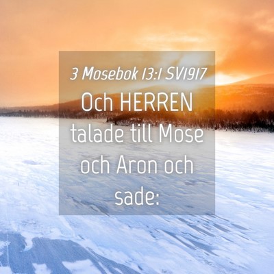 Picture 04 - 3 Mosebok 13:1 SV1917 - Och HERREN talade till Mose och Aron och - Bible Verse Picture