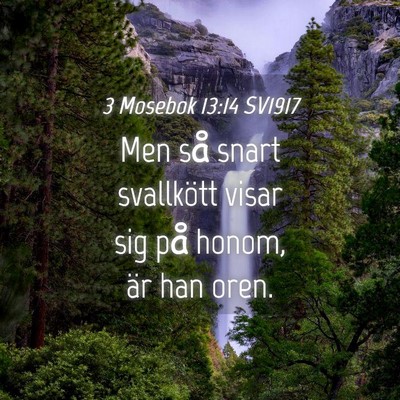 Picture 04 - 3 Mosebok 13:14 SV1917 - Men så snart svallkött visar sig på honom, är - Bible Verse Picture