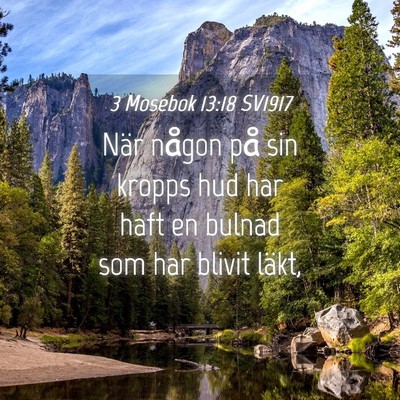 Picture 04 - 3 Mosebok 13:18 SV1917 - När någon på sin kropps hud har haft en bulnad - Bible Verse Picture