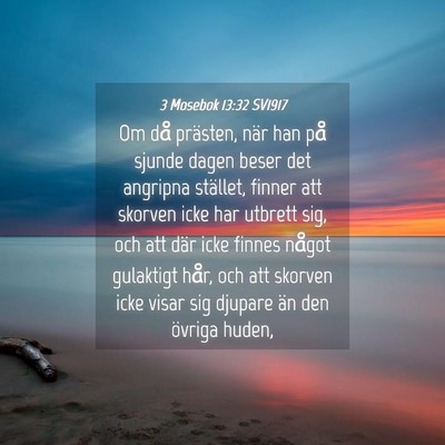 Picture 04 - 3 Mosebok 13:32 SV1917 - Om då prästen, när han på sjunde dagen beser - Bible Verse Picture