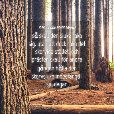 Picture 04 - 3 Mosebok 13:33 SV1917 - så skall den sjuke raka sig, utan att dock raka - Bible Verse Picture