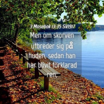 Picture 04 - 3 Mosebok 13:35 SV1917 - Men om skorven utbreder sig på huden, sedan han - Bible Verse Picture