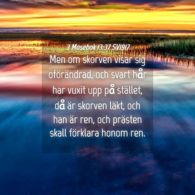 Picture 04 - 3 Mosebok 13:37 SV1917 - Men om skorven visar sig oförändrad, och svart - Bible Verse Picture