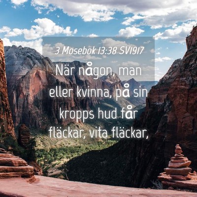Picture 04 - 3 Mosebok 13:38 SV1917 - När någon, man eller kvinna, på sin kropps hud - Bible Verse Picture