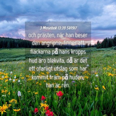 Picture 04 - 3 Mosebok 13:39 SV1917 - och prästen, när han beser den angripne, finner - Bible Verse Picture