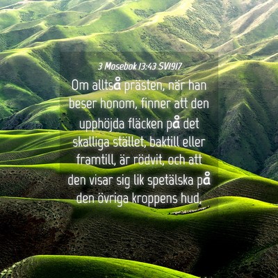 Picture 04 - 3 Mosebok 13:43 SV1917 - Om alltså prästen, när han beser honom, finner - Bible Verse Picture