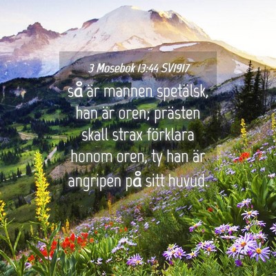 Picture 04 - 3 Mosebok 13:44 SV1917 - så är mannen spetälsk, han är oren; prästen - Bible Verse Picture