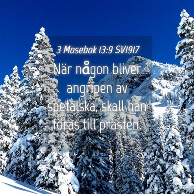 Picture 04 - 3 Mosebok 13:9 SV1917 - När någon bliver angripen av spetälska, skall - Bible Verse Picture