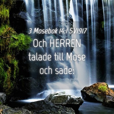 Picture 04 - 3 Mosebok 14:1 SV1917 - Och HERREN talade till Mose och - Bible Verse Picture