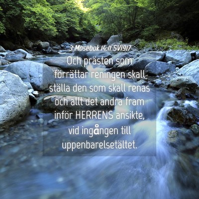Picture 04 - 3 Mosebok 14:11 SV1917 - Och prästen som förrättar reningen skall - Bible Verse Picture