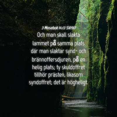 Picture 04 - 3 Mosebok 14:13 SV1917 - Och man skall slakta lammet på samma plats där - Bible Verse Picture