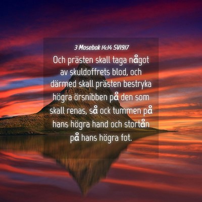 Picture 04 - 3 Mosebok 14:14 SV1917 - Och prästen skall taga något av skuldoffrets - Bible Verse Picture