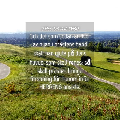 Picture 04 - 3 Mosebok 14:18 SV1917 - Och det som sedan är över av oljan i prästens - Bible Verse Picture