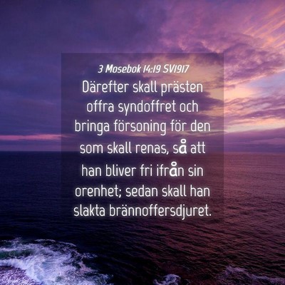 Picture 04 - 3 Mosebok 14:19 SV1917 - Därefter skall prästen offra syndoffret och - Bible Verse Picture
