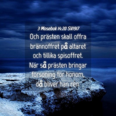 Picture 04 - 3 Mosebok 14:20 SV1917 - Och prästen skall offra brännoffret på altaret - Bible Verse Picture