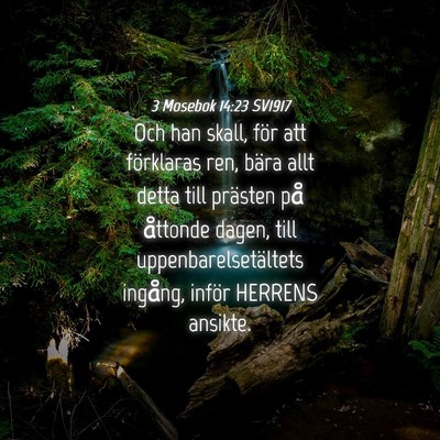 Picture 04 - 3 Mosebok 14:23 SV1917 - Och han skall, för att förklaras ren, bära - Bible Verse Picture