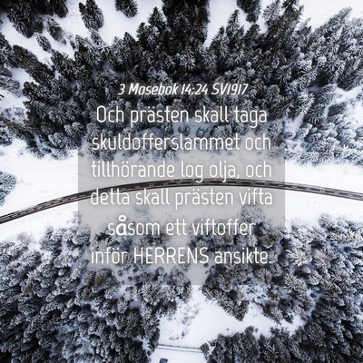 Picture 04 - 3 Mosebok 14:24 SV1917 - Och prästen skall taga skuldofferslammet och - Bible Verse Picture