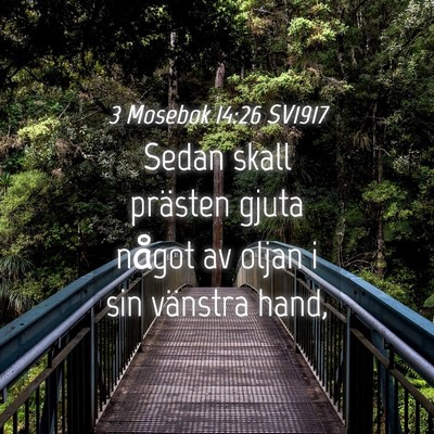 Picture 04 - 3 Mosebok 14:26 SV1917 - Sedan skall prästen gjuta något av oljan i sin - Bible Verse Picture