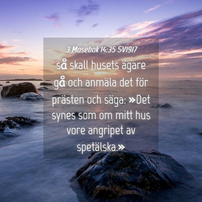 Picture 04 - 3 Mosebok 14:35 SV1917 - så skall husets ägare gå och anmäla det för - Bible Verse Picture